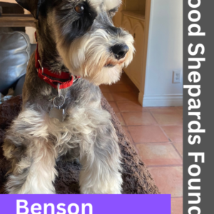 Meet Benson