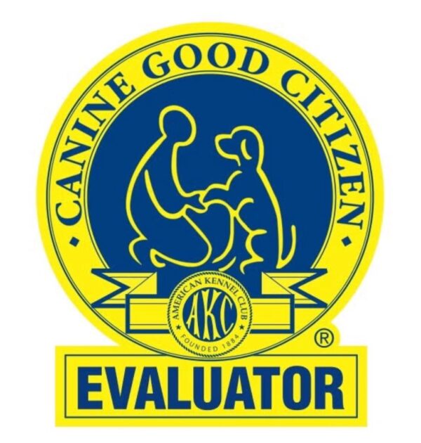 In Person Evaluations