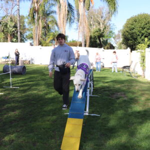 Agility Workshop