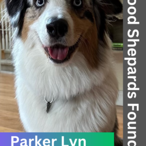 Meet Parker Lyn