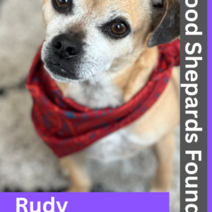 Meet Rudy