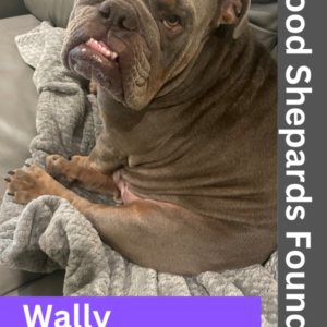 Meet Wally