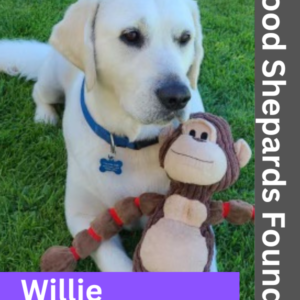 Meet Willie